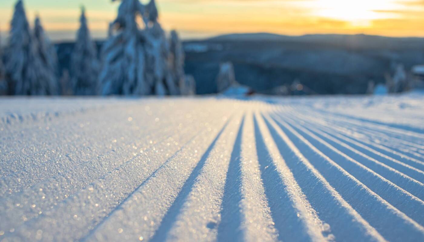 Chalets avec service